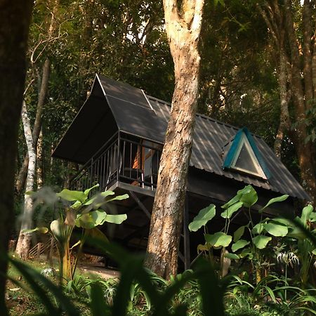 Garden Of Eden-Thottam Munnar-Hiking And Camping Anachal Luaran gambar