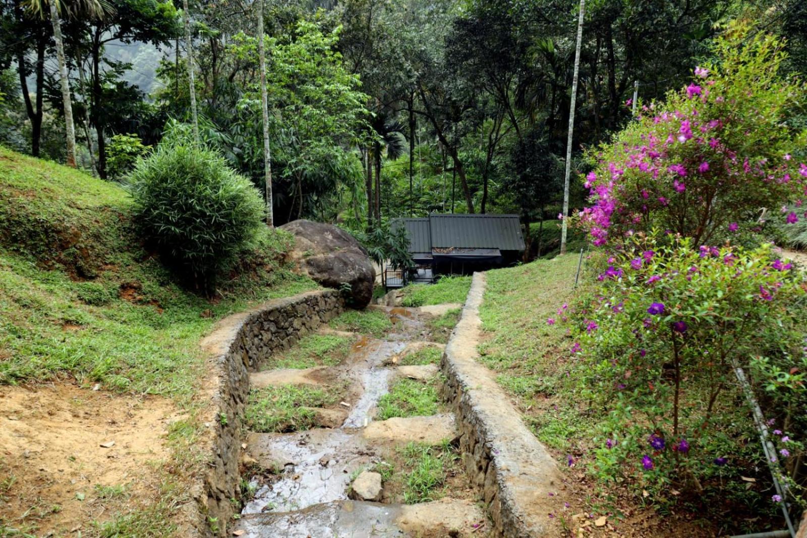 Garden Of Eden-Thottam Munnar-Hiking And Camping Anachal Luaran gambar