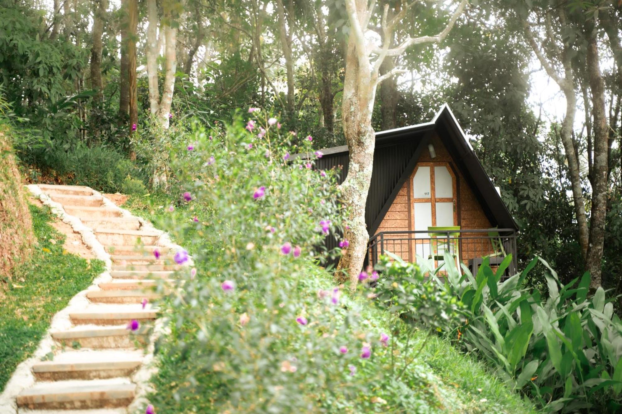 Garden Of Eden-Thottam Munnar-Hiking And Camping Anachal Luaran gambar