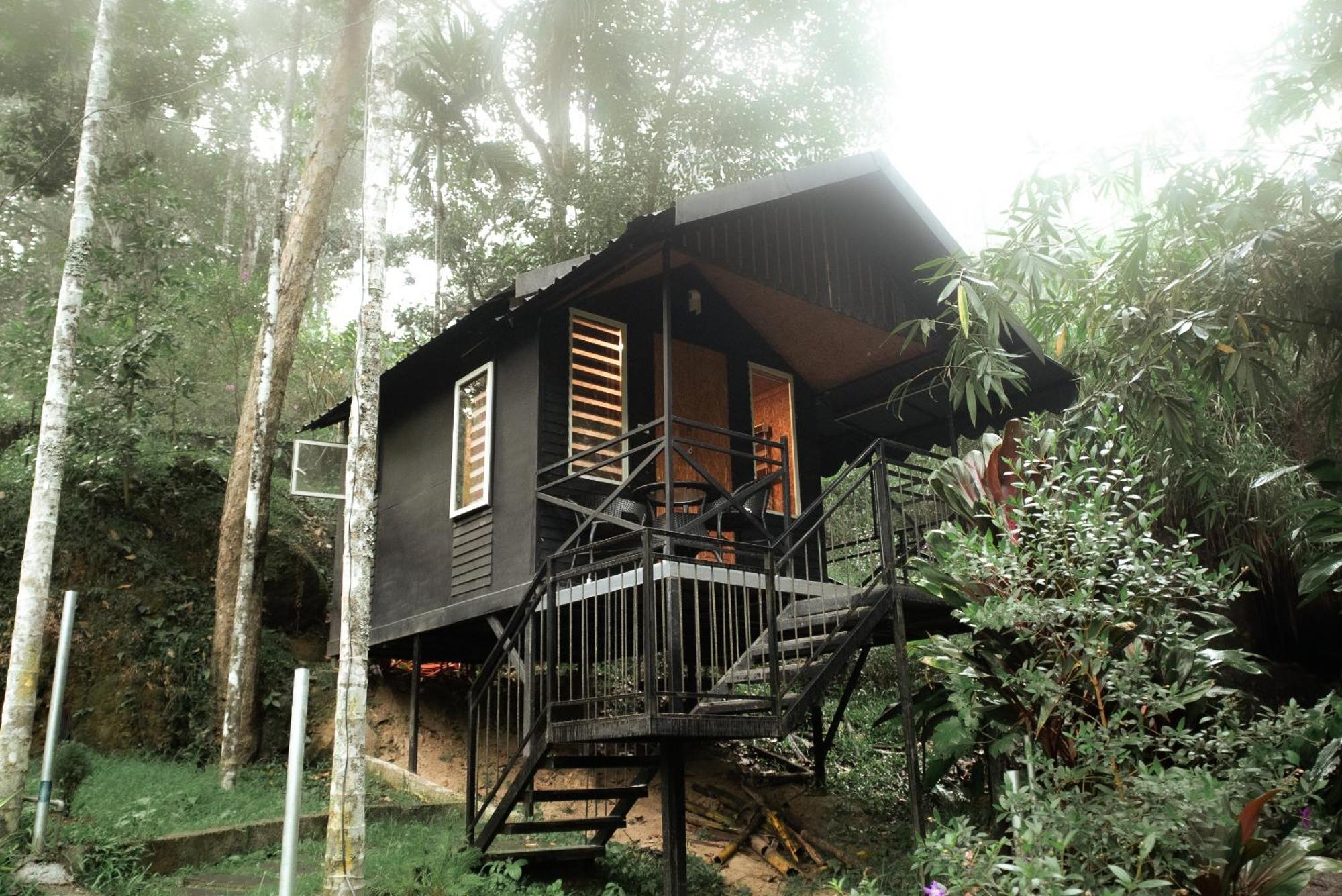 Garden Of Eden-Thottam Munnar-Hiking And Camping Anachal Luaran gambar